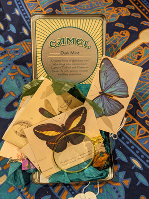 Mini Entomology Vibe