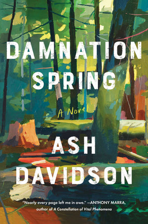 Damnation Springs : Ash Davidson