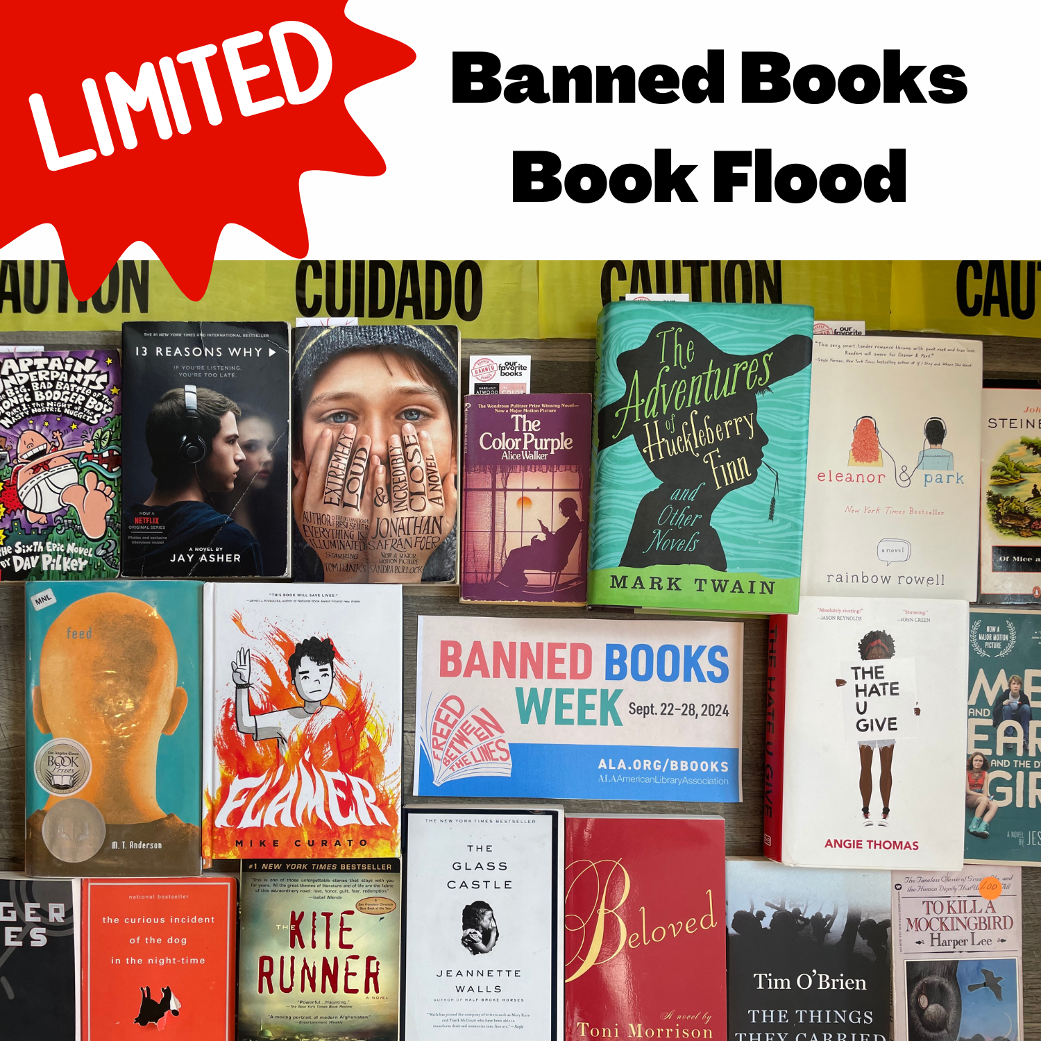 Book Flood: 4 Book Sampler + 1 Tote Bag + 1 Sticker