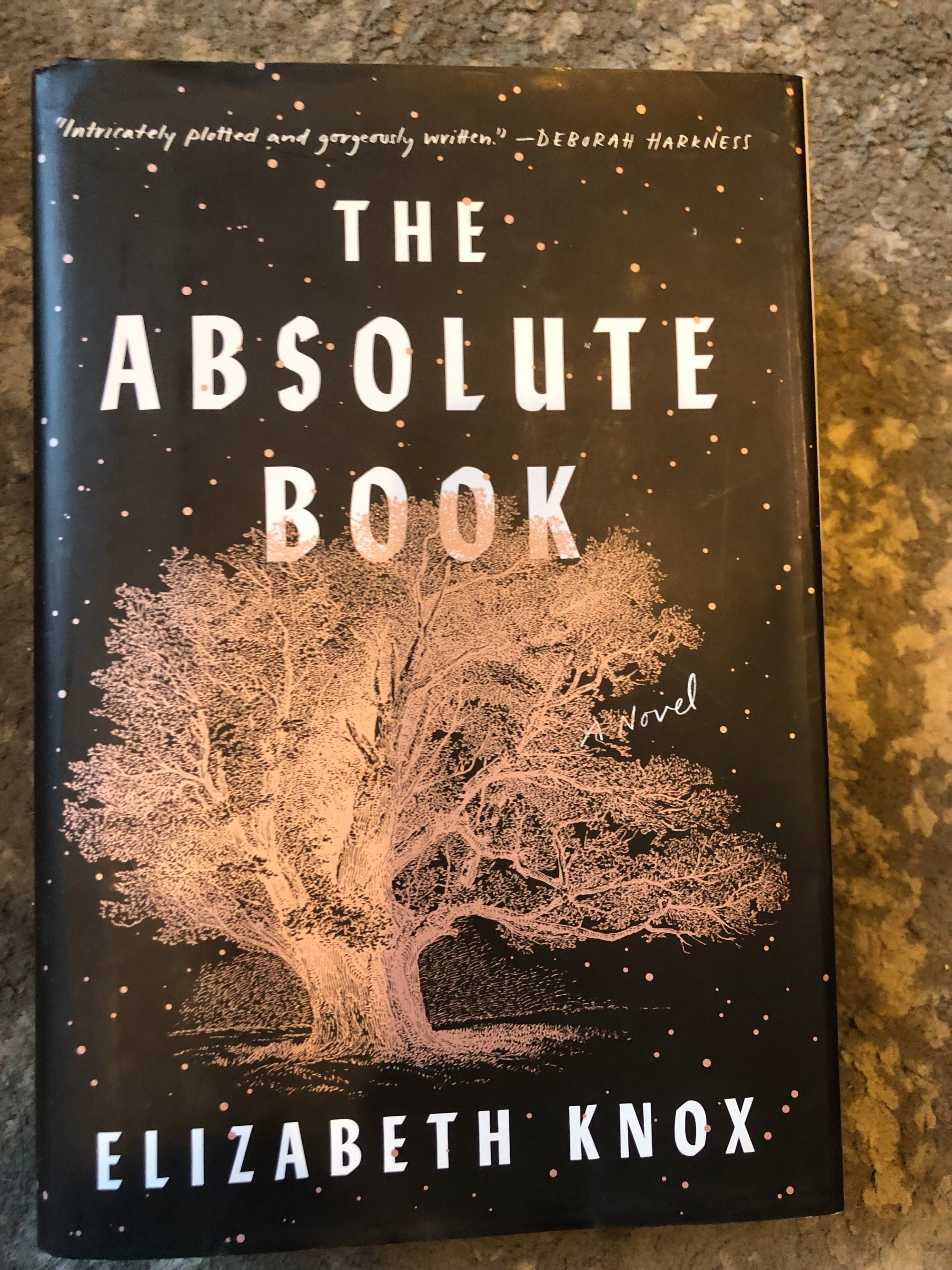 The Absolute Book : Elizabeth Knox