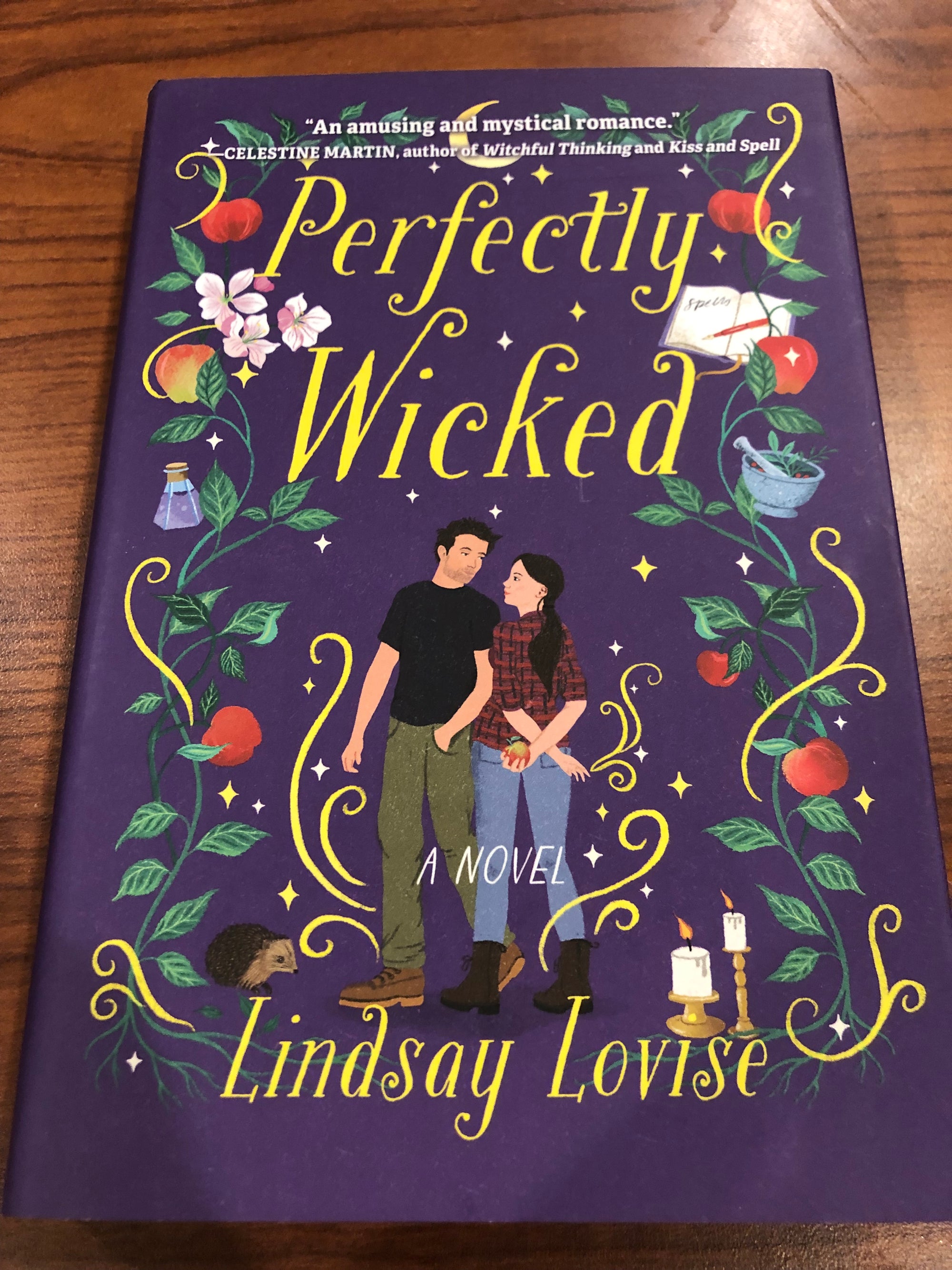 Perfectly Wicked :  Lindsay Lovise