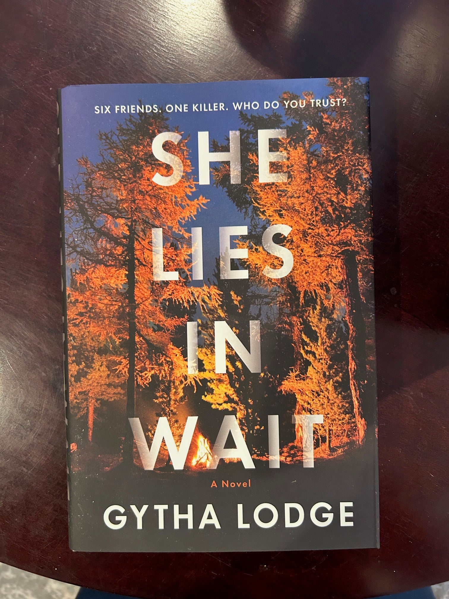 She Lies in Wait : Gytha Lodge