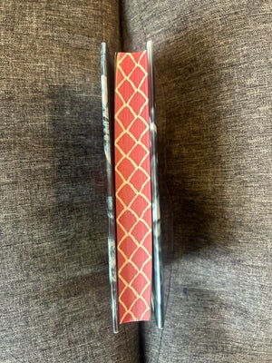 The Last Dragon on Mars : Scott R. Eintgen